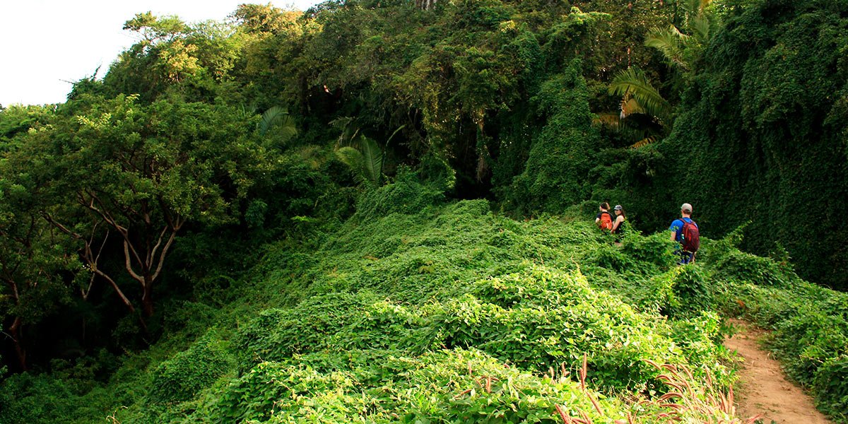 Sayulita to San Pancho Hike