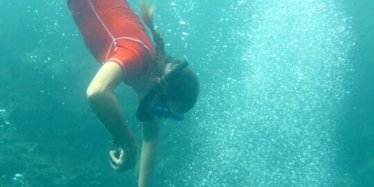 Marietas Snorkel Safari