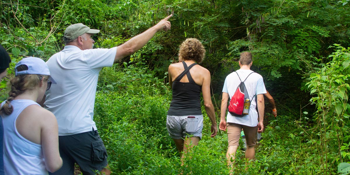 Jungle Hikes Tours in Sayulita and Punta Mita | WildMex Surf School