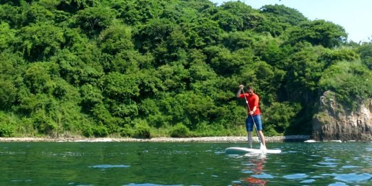 Stand Up Paddle Lesson