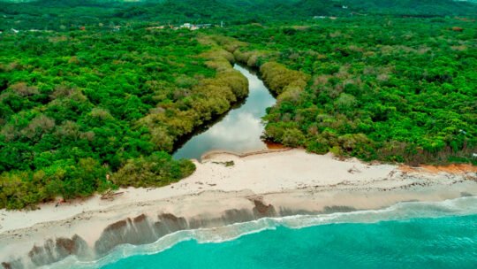 Aerial view of La Lancha beach surrounded by lush greenery near Punta Mita