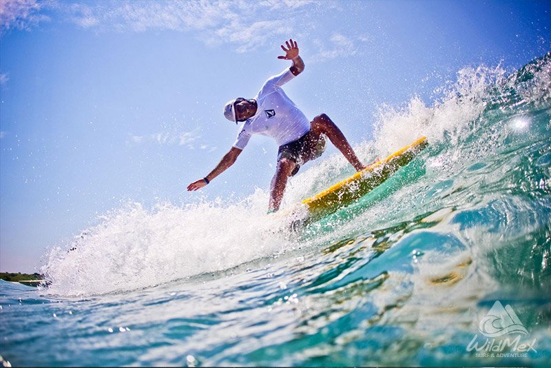 Surfer catching waves