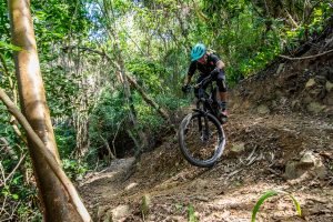 Mountain biking in the jungle