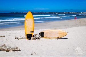 Surfboard Rental In Punta Mita With Wildmex