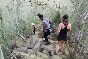 Hiking Monkey Mountain in Sayulita 