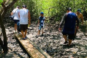 Surf Lessons in La Lancha Continue As Usual! Bridge Building By Wildmex