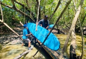 Surfing In La Lancha Continues As Usual! Bridge Building By Wildmex