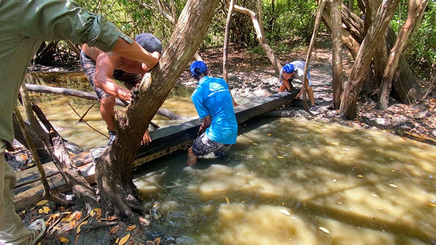 Surfing In La Lancha Continues As Usual! Bridge Building By Wildmex