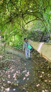 Surfing In Punta Mita Continues As Usual! Bridge Building By Wildmex