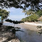 Is the water safe to swim at Sayulita beach?