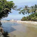 Water quality in Sayulita