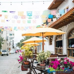 Alternatives to Sayulita? If biking through charming markets, and enjoying ceviche tostadas and mojito style lemonades for sunset is what you’re after, Bucerias might just be it! 