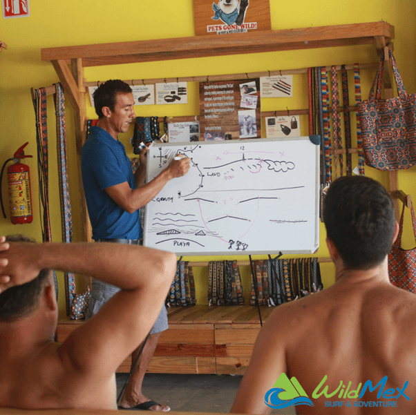  Aprenderá a leer las mareas, las olas y conocerá el mejor momento para surfear las olas de Punta Mita y Sayulita en nuestro campamento de surf Wild Mex. 