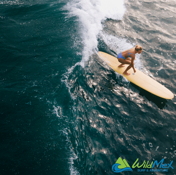 Our Wild Mex Surf Camp In Sayulita and Punta Mita teaches true surf etiquette so you can think like a pro even before your first lesson.