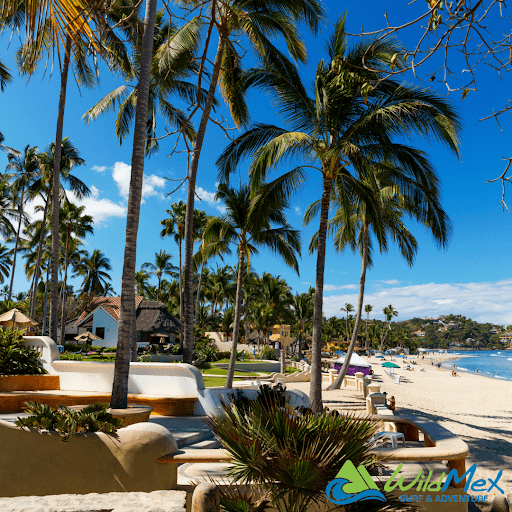 Sayulita surf camp packages with accommodation close to the beach are available at WildMex