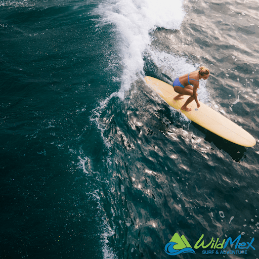 La tabla de surf perfecta para el surfista principiante! 