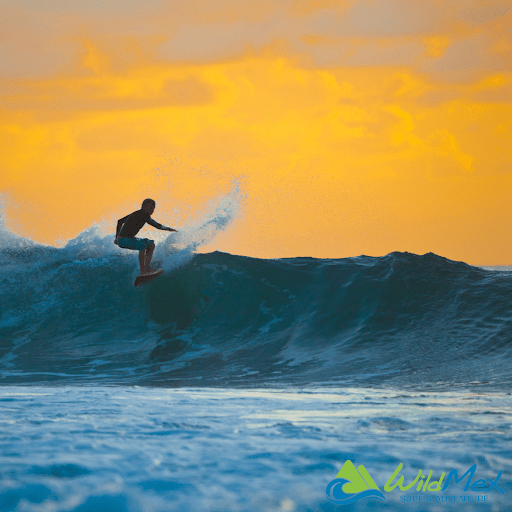 The best time to surf Punta Mita, the bottom turn and top turn takes years of experience to maneuver, but with us, you’ll learn the basics! 