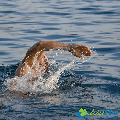 Swimming in a pool may seem calm and passive, but trust us, it’ll be a lifesaver for learning to surf in Mexico!  