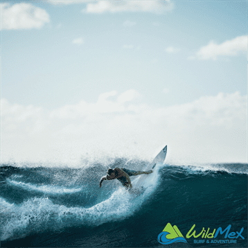 The question we often get asked at our surfboard rental in Punta Mita is: “Which is better, the thruster or the quad?” Read here to discover…