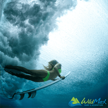 Aprenda qué configuración de quillas de tabla de surf es mejor? El Thruster o el Quad Fin en nuestro WildMex Intermediate Surf Camp en Punta Mita