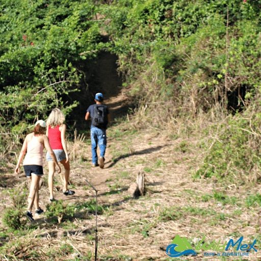 What to do for the best chance of spotting wildlife whilst Hiking Monkey Mountain in Punta Mita