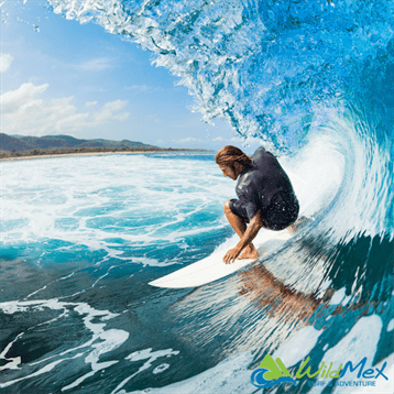 Surf Wax Guide for Learning To Surf In Mexico’s Punta Mita & Sayulita,  Which surf wax are the locals using & why?