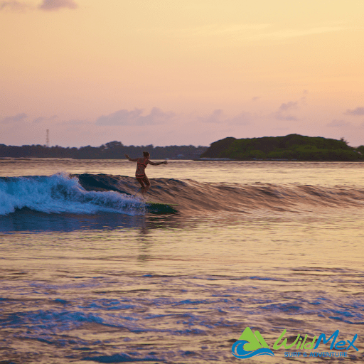 Reserva un campamento de surf en Punta Mita para disfrutar experimentando con nuestra gama de más de 300 tablas de surf y su diversa gama de configuraciones de quillas.  