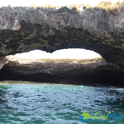 Let’s plan your Marietas Islands tour for some memorable water fun for the whole family. 
