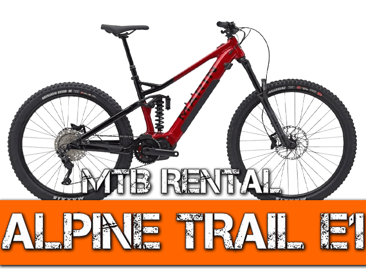 If you're looking for an eMTB rental in Sayulita, look no further. We've got all the right bikes, at the right price. Our company is locally owned and operated. We love to see our customers come back again and again!
Our eMTB rentals are perfect for any occasion: a trip with friends, a romantic getaway with your partner, or even just a day out on the trails with your dog.
So what are you waiting for? Come rent an eBIKE today!