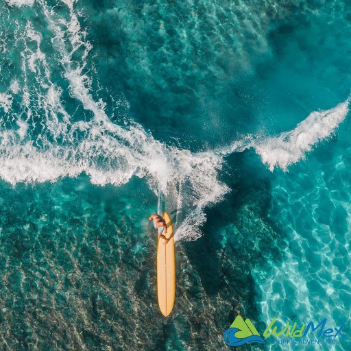  Learning to Surf in Mexico comes with many surprises!