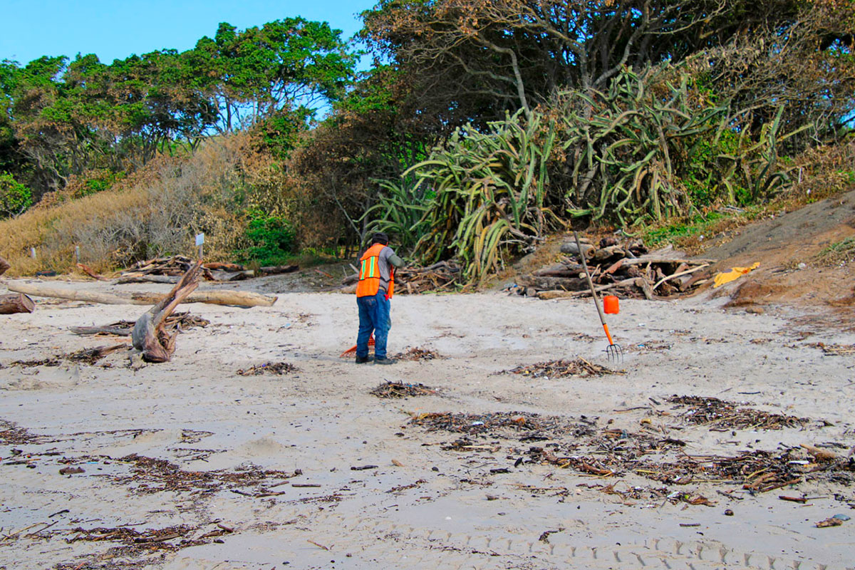 WildMex Taking Action for Sustainability in Punta Mita