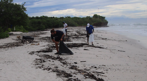 Trash Collection in Sayulita - Join WildMex Volunteers 