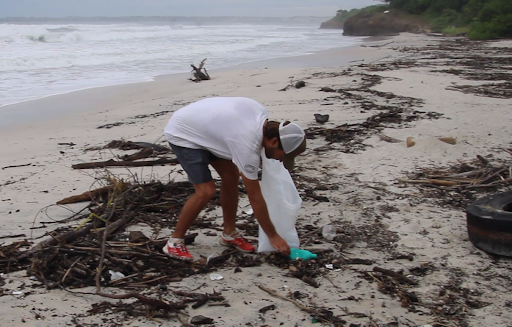 WildMex Volunteers giving back through trash collection Punta de Mita 