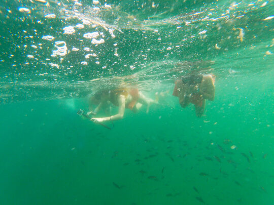 People snorkeling in clear waters of the Marietas Islands