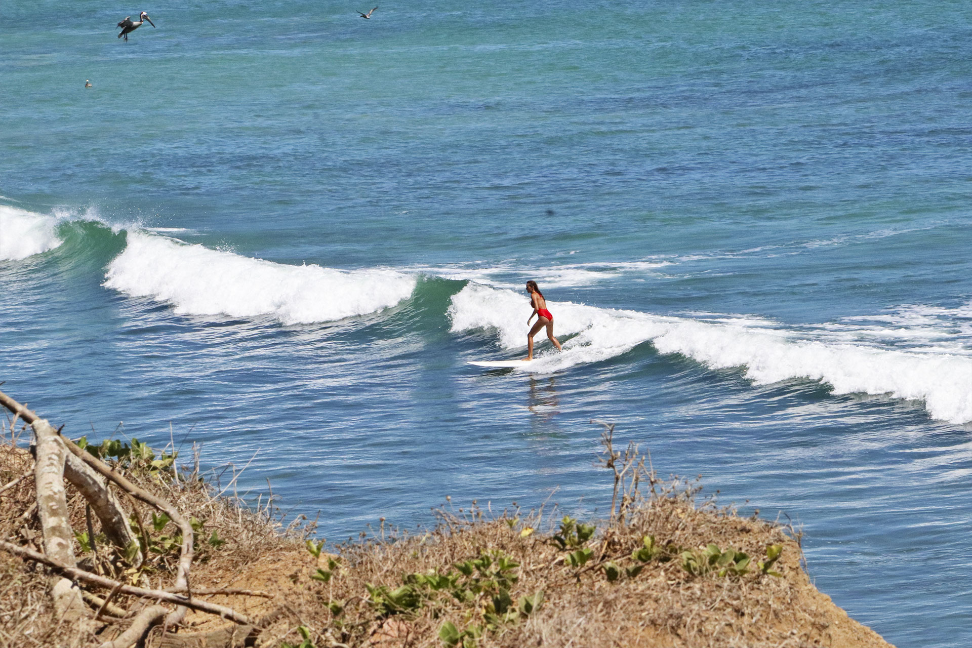 Save money and surf more 