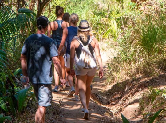 Family entering jungle trail during WildMex hiking tour in Sayulita