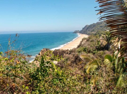 Ocean view from high point along jungle trail in Sayulita