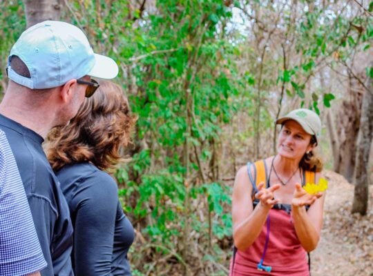 WildMex guide explaining local flora to hikers in Punta Mita jungle