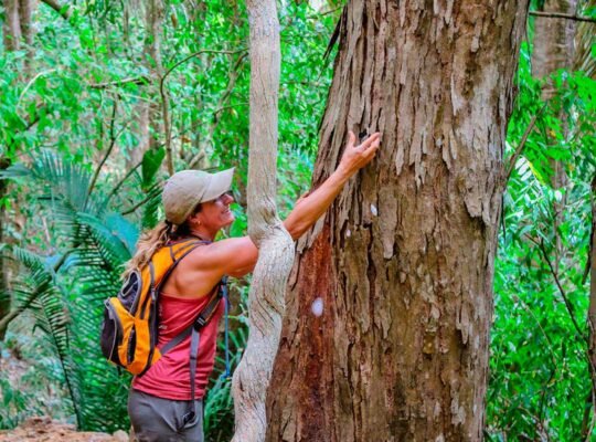 WildMex guide examining tree bark during jungle hike in Sayulita