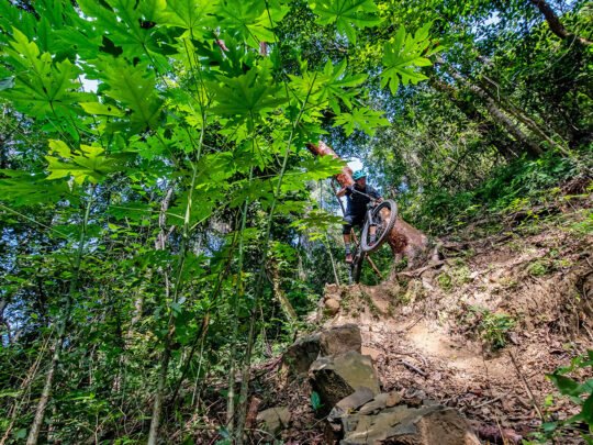 Mountain biker jumping through dense vegetation on Malpaso trail