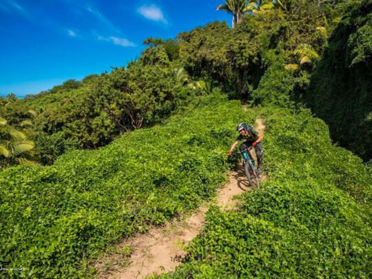 Mountain biker descending trail with scenic backdrop in Sayulita
