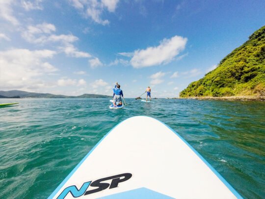 Ocean and coastal landscape seen from a paddle board in Sayulita.