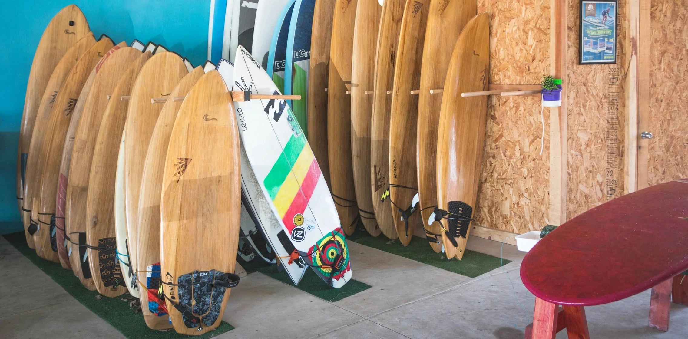 🏄 Equipment Rentals - Wildmex Surf School & Adventure Center